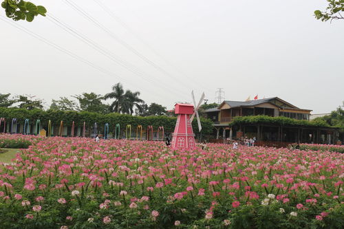 佛山團建公司 戶外定向探索盈香生態園