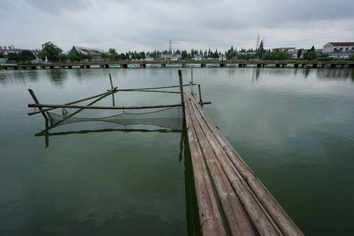 養了這么久池塘,水體就是肥不起來的原因都在這