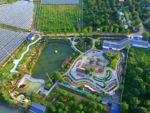 惠州這些地方,太好玩了 路線戳這里