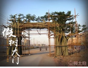 熱賣促銷 單縣永彬園林景觀廠攜手阿土伯網打造九龍潭生態園景觀新體驗
