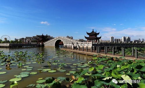 文化是旅游的靈魂，江西文化旅游發(fā)展大有可為——以九龍?zhí)渡鷳B(tài)園為例