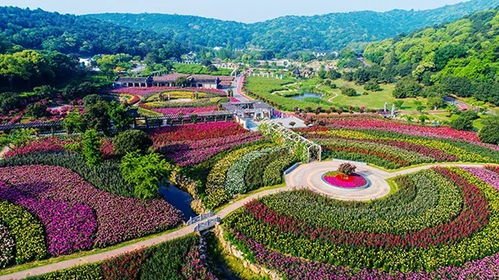 無錫春季太湖灣花美茶香之旅入選鄉(xiāng)村休閑旅游精品線路