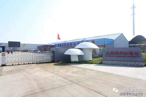 九龍?zhí)渡鷳B(tài)園 金山區(qū)的生態(tài)明珠與休閑勝地