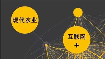 農(nóng)業(yè)互聯(lián)網(wǎng)掘金時(shí)代，數(shù)據(jù)服務(wù)商扮演“賣水人”角色